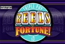 Reels of Fortune Triple Pay Slot Review